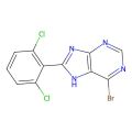 6-溴-8-(2,6-二氯苯基)-9H-嘌呤