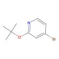 4-溴-2-(叔丁氧基)吡啶