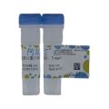 牛血清白蛋白标准品，5 mg/mL