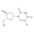 5-溴-2′-脱氧尿苷(BrdU)