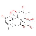 14,15beta-Dihydroxyklaineanone