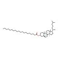 Cholesteryl arachidate