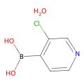 3-Chloro-4-pyridineboronic acid hydrate
