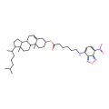 5-胆甾烯-3β-醇6-[((7-硝基-2-1,3-苯并恶二唑-4-基)氨基]己酸