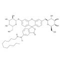 C12FDG [5-十二烷酰基氨基荧光素二-β-D-吡喃半乳糖苷]