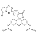 5(6)-羧基二乙酸荧光素琥珀酰亚胺酯（CFDA）