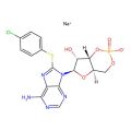8-CPT-Cyclic AMP sodium