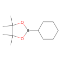 2-环己基-4,4,5,5-四甲基-1,3,2-二氧环戊硼烷