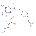 CGS 21680 盐酸盐