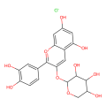 矢车菊素-3-O-阿拉伯糖苷