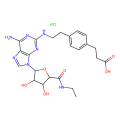 CGS 21680 HCl