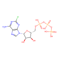 2-chloroadenosine-5-triphosphate