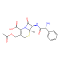 cefaloglycin
