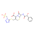 cefonicid