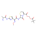 ceftizoxime alapivoxil