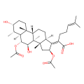 cephalosporin P₁