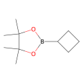 2-cyclobutyl-4,4,5,5-tetramethyl-1,3,2-dioxaborolane