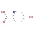 cis-5-hydroxypiperidine-2-carboxylic acid