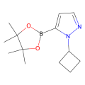 1-cyclobutyl-5-(tetramethyl-1,3,2-dioxaborolan-2-yl)-1H-pyrazole