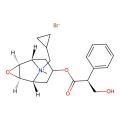 Cimetropium Bromide