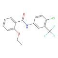 CTB