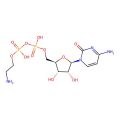 Cytidine 5′-diphosphoethanolamine