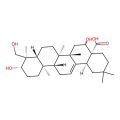 Caulophyllogenin