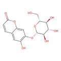 Cichoriin