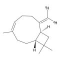 β-Caryophyllene-d2