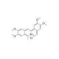 Coralyne chloride