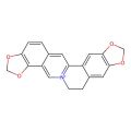 Coptisine Sulfate