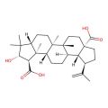 Ceanothic acid