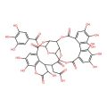 Chebulagic acid