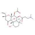 Colforsin daropate