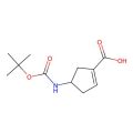 4-(tert-butoxycarbonylamino)cyclopentene-1-carboxylic acid