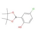 4-氯-2-(4,4,5,5-四甲基-1,3,2-二氧硼杂环戊烷-2-基)苯酚