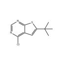6-(叔丁基)-4-氯噻吩并[2,3-d]嘧啶