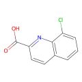 8-氯喹啉-2-羧酸