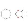 2-环庚基-4,4,5,5-四甲基-1,3,2-二氧杂硼烷