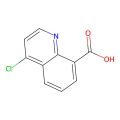 4-氯喹啉-8-羧酸