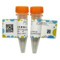 软骨素酶AC