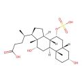 Cholic Acid 7-sulfate