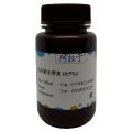结晶紫水溶液 (0.5%) 