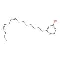 Cardanol diene