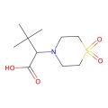 2-(1,1-Dioxo-1lambda~6~,4-thiazinan-4-yl)-3,3-dimethylbutanoic acid