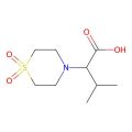 2-(1,1-Dioxo-1lambda~6~,4-thiazinan-4-yl)-3-methylbutanoic acid