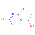 2,6-二氯吡啶-3-羧酸