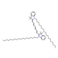 DiR' [DiIC18(7)],用于膜染色