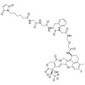 Deruxtecan-d5
