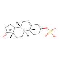 Dehydroepiandrosterone sulfate